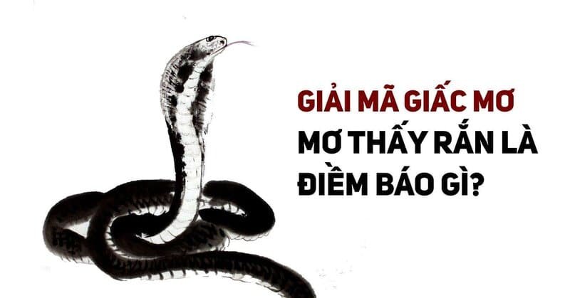 Mơ Thấy Rắn - Khám Phá Ý Nghĩa, Giải Thích và Những Điều Thú Vị